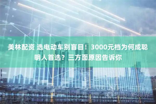 美林配资 选电动车别盲目！3000元档为何成聪明人首选？三方面原因告诉你