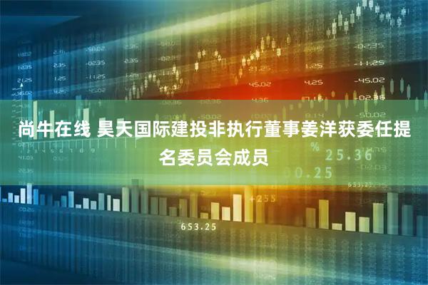 尚牛在线 昊天国际建投非执行董事姜洋获委任提名委员会成员