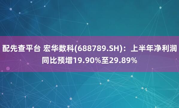 配先查平台 宏华数科(688789.SH)：上半年净利润同比预增19.90%至29.89%